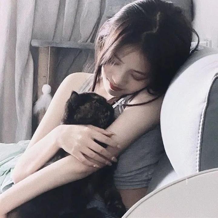 鲨与鲸